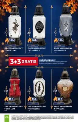 Stokrotka - gazetka promocyjna Katalog Znicze od czwartku 29.10 do środy 04.11 - strona 3
