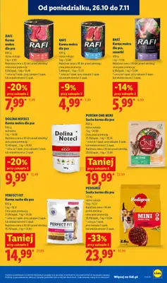 Lidl - gazetka promocyjna Oferta od czwartku od czwartku 29.10 do soboty 31.10 - strona 109