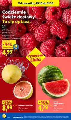 Lidl - gazetka promocyjna Oferta od czwartku od czwartku 29.10 do soboty 31.10 - strona 48