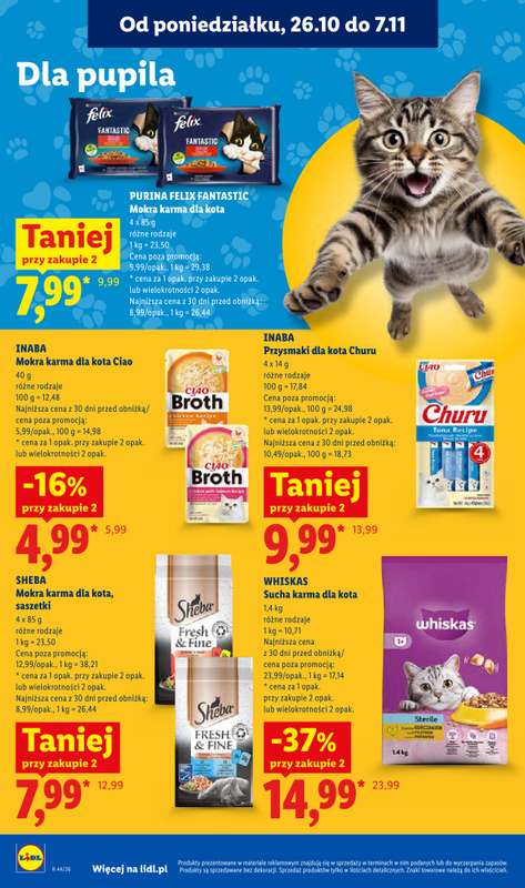 Lidl - gazetka promocyjna Oferta od czwartku od czwartku 29.10 do soboty 31.10 - strona 110