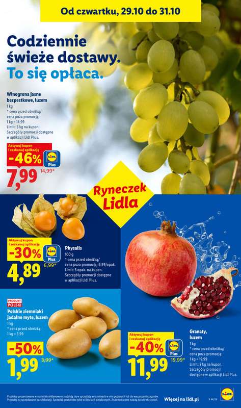 Lidl - gazetka promocyjna Oferta od czwartku od czwartku 29.10 do soboty 31.10 - strona 49