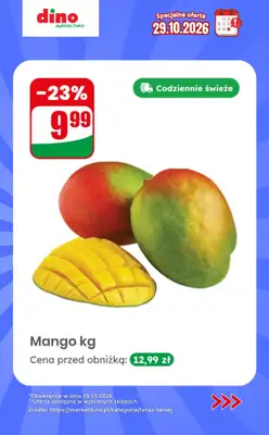Dino - gazetka promocyjna Specjalna oferta na 29.10.2026 - promocje spoza gazetki od czwartku 29.10 do czwartku 29.10 - strona 6