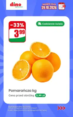 Dino - gazetka promocyjna Specjalna oferta na 29.10.2026 - promocje spoza gazetki od czwartku 29.10 do czwartku 29.10 - strona 3
