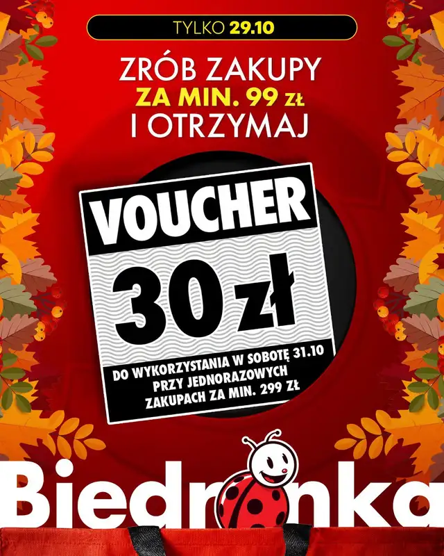 Biedronka - gazetka promocyjna Biedronkowe oszczędności od czwartku   - strona 2