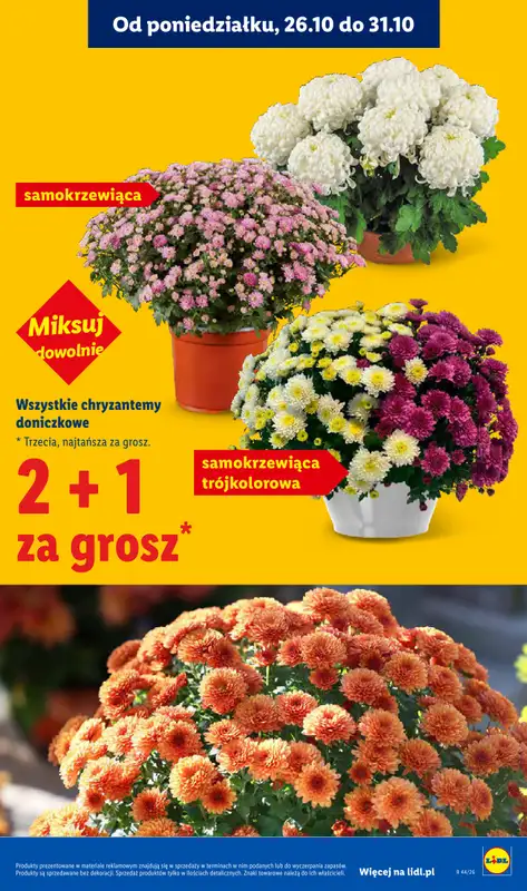 Lidl - gazetka promocyjna Oferta od czwartku od czwartku 29.10 do soboty 31.10 - strona 5