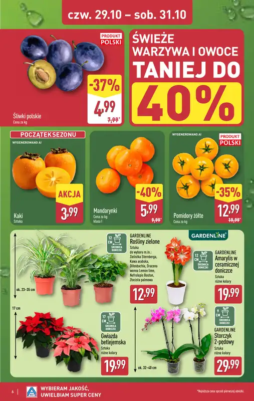 Aldi - gazetka promocyjna Weekend super cen w Aldi! od czwartku 29.10 do soboty 31.10 - strona 6