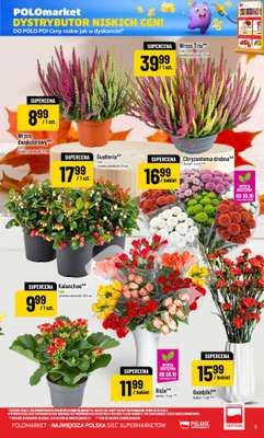 POLOmarket - gazetka promocyjna Gazetka od środy 28.10 do wtorku 03.11 - strona 5