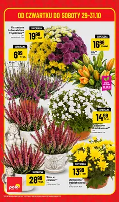 POLOmarket - gazetka promocyjna Super hity na weekend od czwartku 29.10 do soboty 31.10 - strona 6