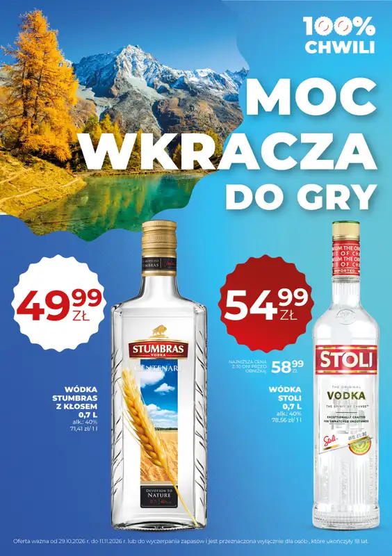 Duży Ben - gazetka promocyjna Gazetka alkoholowa od czwartku 29.10 do środy 11.11 - strona 38