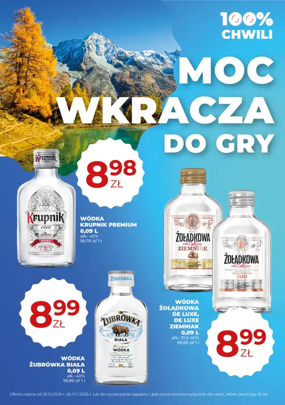 Duży Ben - gazetka promocyjna Gazetka alkoholowa od czwartku 29.10 do środy 11.11 - strona 32