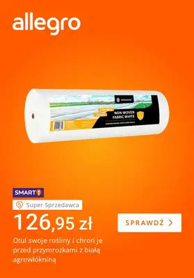 Allegro - gazetka promocyjna Przygotuj się na mrozy od piątku 30.10 do piątku 06.11 - strona 2