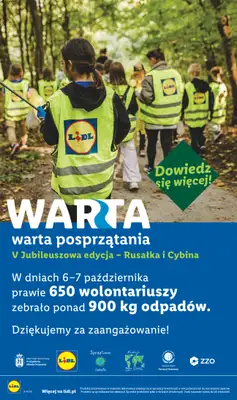 Lidl - gazetka promocyjna Oferta od czwartku od czwartku 29.10 do soboty 31.10 - strona 118