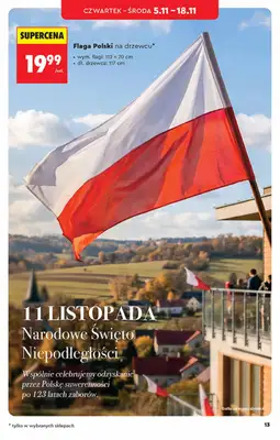 Biedronka - gazetka promocyjna Hity i inspiracje, od 31.10 od soboty 31.10 do środy 18.11 - strona 13