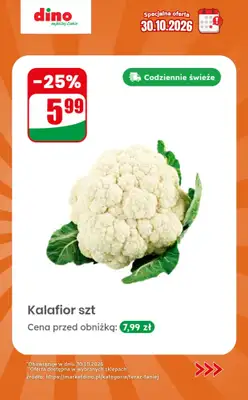Dino - gazetka promocyjna Specjalna oferta na 30.10.2026 - promocje spoza gazetki od piątku 30.10 do piątku 30.10 - strona 12