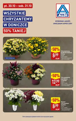 Aldi - gazetka promocyjna Chryzantemy 50% TANIEJ od piątku 30.10 do soboty 31.10 - strona 2