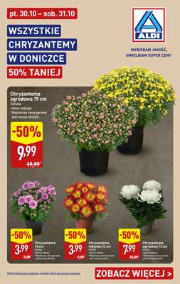 Aldi - gazetka promocyjna Chryzantemy 50% TANIEJ od piątku 30.10 do soboty 31.10