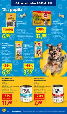 Lidl - gazetka promocyjna Oferta od czwartku od czwartku 29.10 do soboty 31.10 - strona 110