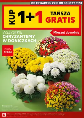 Kaufland - gazetka promocyjna Oferta Kaufland - SUPER SOBOTA od soboty 31.10 do soboty 31.10 - strona 9