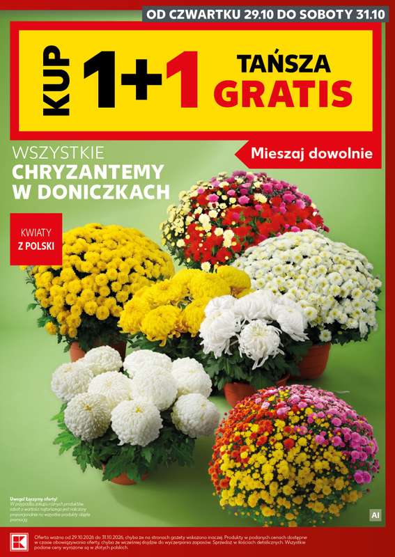 Kaufland - gazetka promocyjna Oferta Kaufland - SUPER SOBOTA od soboty 31.10 do soboty 31.10 - strona 9