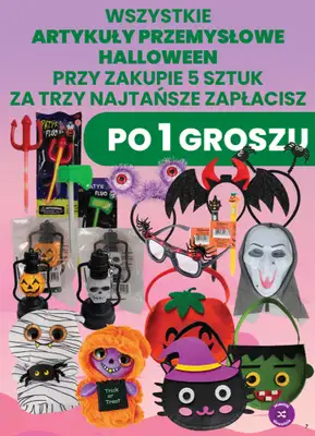 Dino - gazetka promocyjna Weekendowe okazje od piątku 30.10 do soboty 31.10 - strona 7