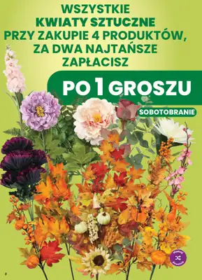 Dino - gazetka promocyjna Weekendowe okazje od piątku 30.10 do soboty 31.10 - strona 8