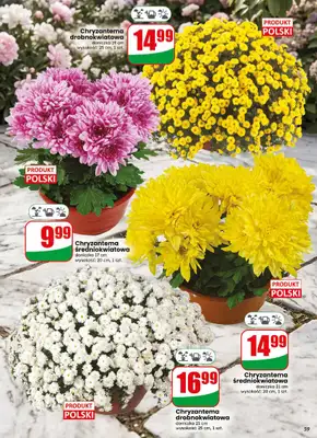 Dino - gazetka promocyjna Gazetka 44 / 2026 od środy 28.10 do wtorku 03.11 - strona 59