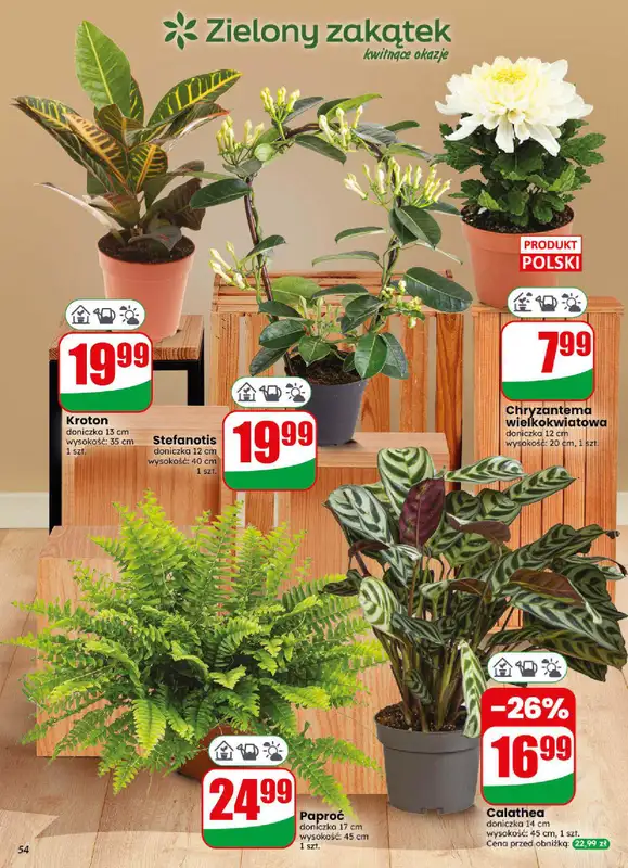 Dino - gazetka promocyjna Gazetka 44 / 2026 od środy 28.10 do wtorku 03.11 - strona 54