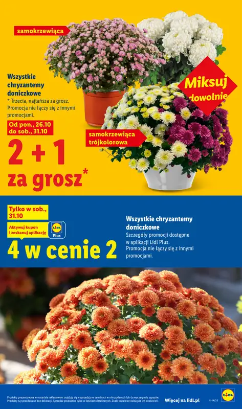Lidl - gazetka promocyjna Oferta od czwartku od czwartku 29.10 do soboty 31.10 - strona 5