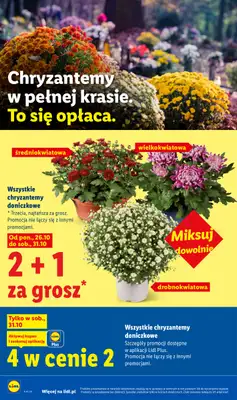 Lidl - gazetka promocyjna Oferta od czwartku od czwartku 29.10 do soboty 31.10 - strona 4