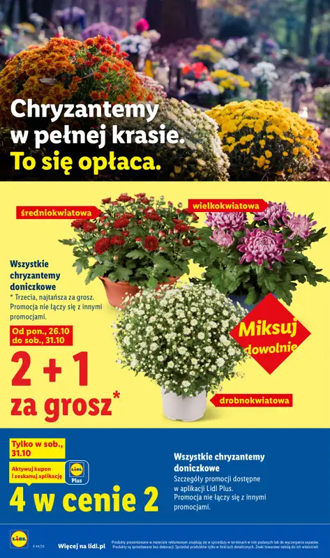 Lidl - gazetka promocyjna Oferta od czwartku od czwartku 29.10 do soboty 31.10 - strona 4