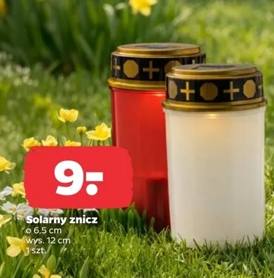 Znicz solarny promocja w Netto