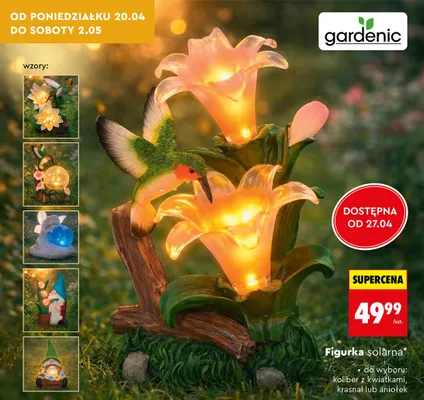 Figurka solarna koliber z kwiatami promocja w Biedronka