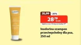 Szampon przeciwpchelny dla psa promocja w KAKADU