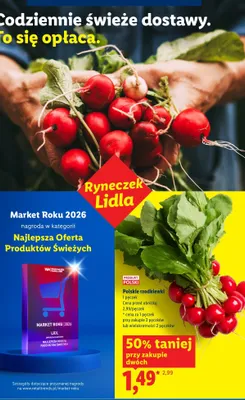 Rzodkiewki polskie promocja w Lidl