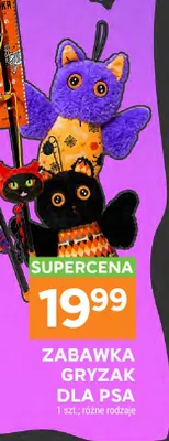 Zabawka gryzak dla psa promocja w Stokrotka