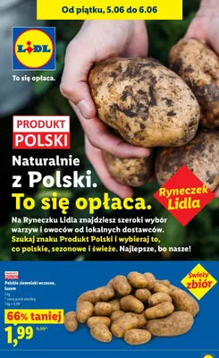 Ziemniaki wczesne Ryneczek Lidla polskie promocja w Lidl