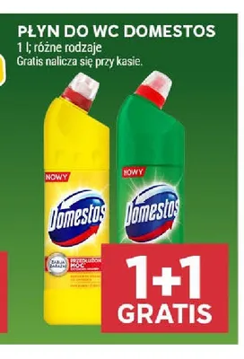 Płyn do WC Domestos promocja w Stokrotka