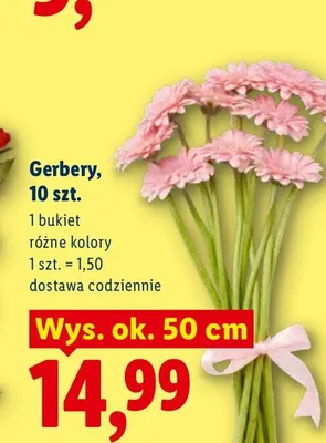 Gerbery 10-pak promocja w Lidl