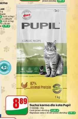 Sucha karma dla kota Pupil Classic Recipe promocja w Dino