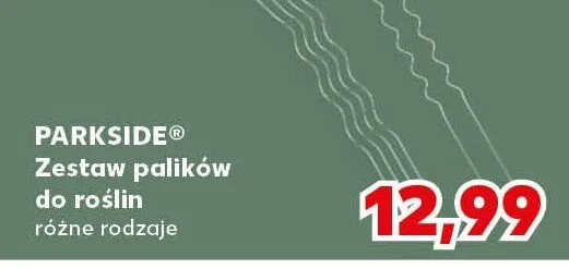 Zestaw palików do roślin różne rodzaje promocja w Kaufland