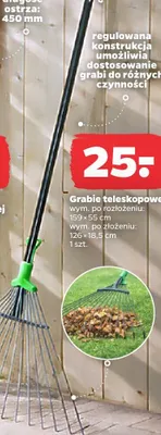 Grabie teleskopowe promocja w Netto