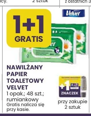 Nawilżany papier toaletowy Velvet rumiankowy promocja w Stokrotka