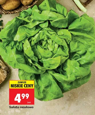 Sałata masłowa promocja w Biedronka