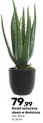 Kwiat sztuczny aloes w doniczce promocja w Bricomarche