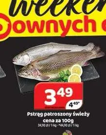 Pstrąg patroszony świeży promocja w Delfin