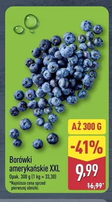 Borówki amerykańskie XXL promocja w Aldi