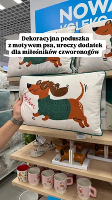 Poduszka dekoracyjna z motywem psa promocja w Pepco