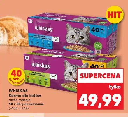 Karma dla kotów Whiskas w galaretce promocja w Kaufland