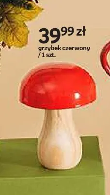Grzybek czerwony Hello Autumn promocja w Empik