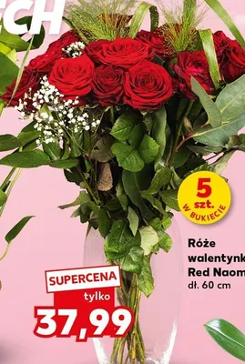 Róże walentynkowe Red Naomi promocja w Kaufland